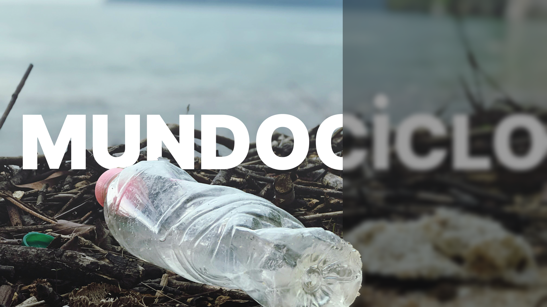 Plastic bottle on the beach